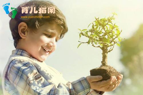 教育攀比,孩子不能承受之痛