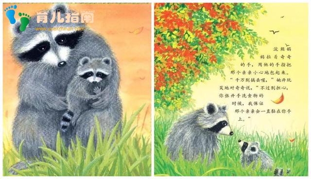 绘本说 | 幼儿园,我来啦