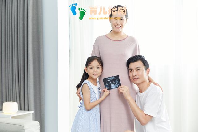 二胎政策 二胎政策