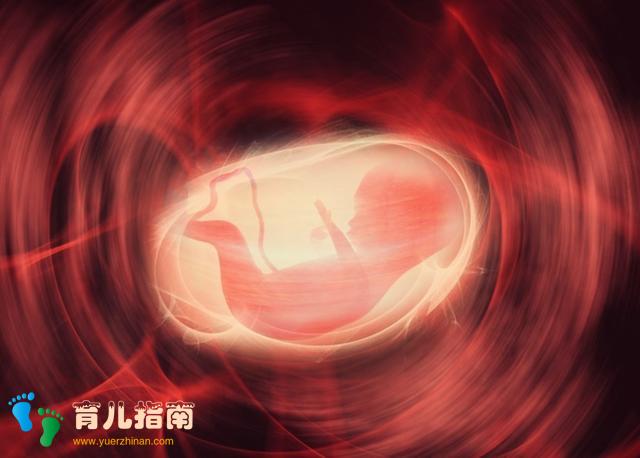 脐带脱垂 脐带脱垂