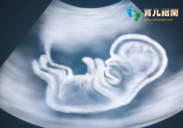 孕妈血型关系到胎儿健康，两种血型孕妈头胎最好别留，对你很重要