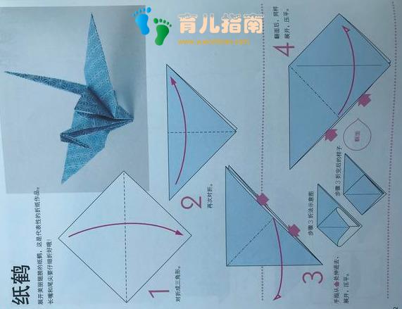 折纸 折纸