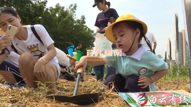 沁德文化幼儿园