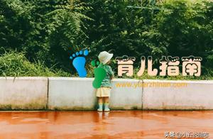 我后悔没有吃的三种“苦”