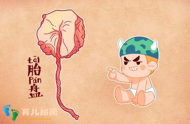 母乳喂养 母乳喂养