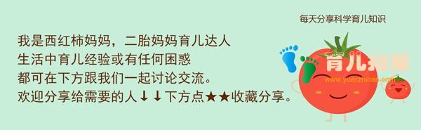 爷爷奶奶 爷爷奶奶