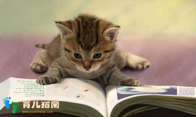 思维导图 思维导图