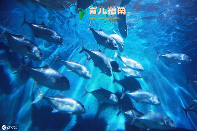 宝妈 宝妈