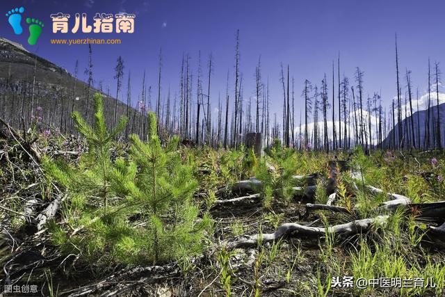 防毒面具 防毒面具