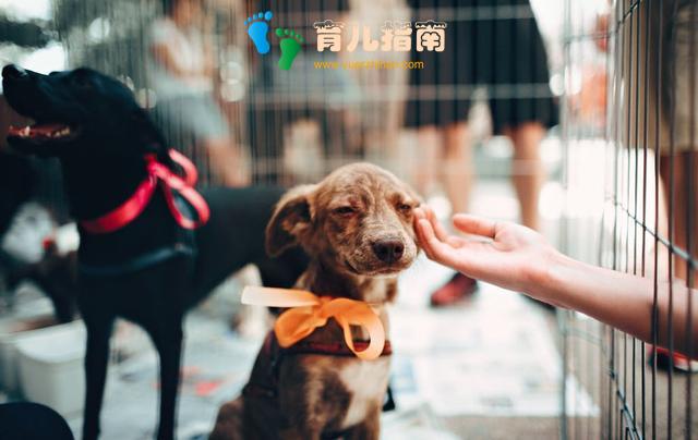 拒绝精致的利己主义教育