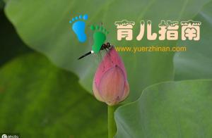 孩子学“国学”，究竟“学”什么