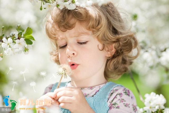幼儿教育小学化的危害有多大？你看了才知道！（转给家长）