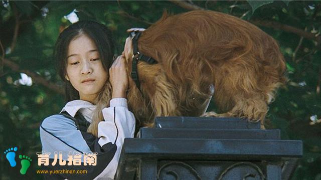 逆反心理 逆反心理