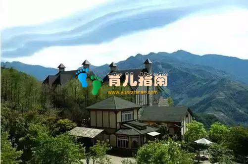 农业 农业