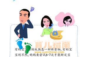 辅食的科学喂法