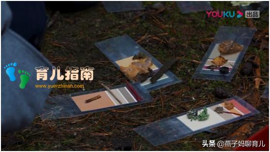 他乡的童年 他乡的童年