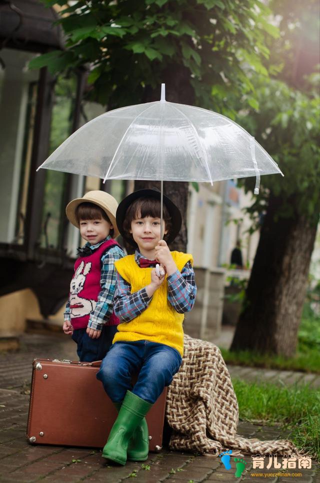 性别角色 性别角色