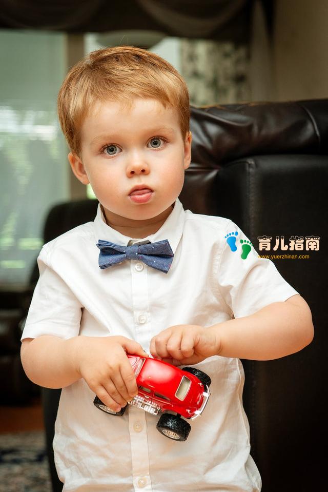 性别角色 性别角色