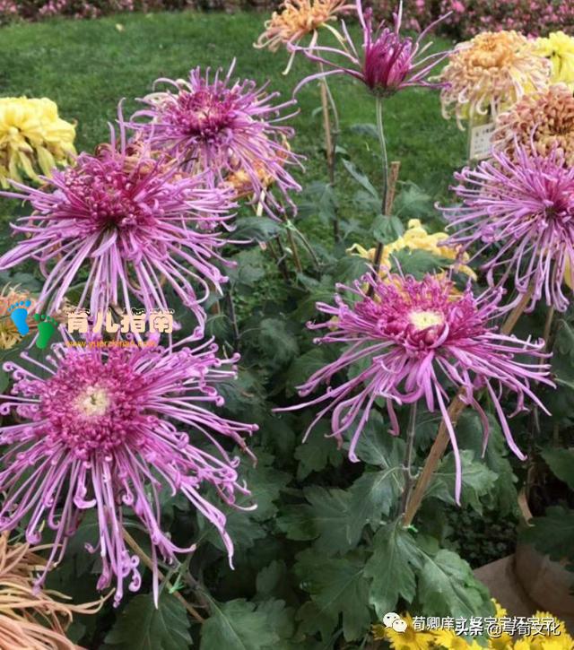 传统文化 传统文化