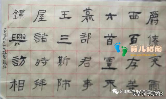 梅兰竹菊 梅兰竹菊