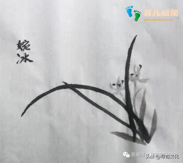 梅兰竹菊 梅兰竹菊