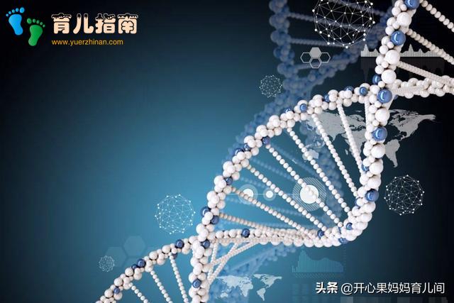 隔代遗传 隔代遗传