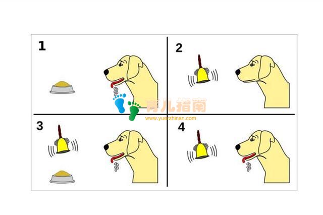 习惯 习惯