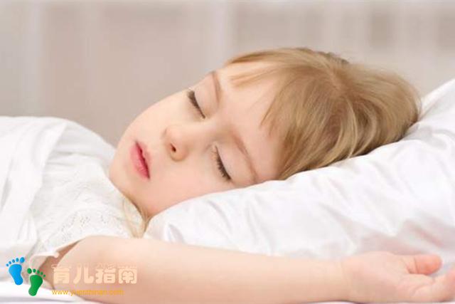 巴普洛夫 巴普洛夫