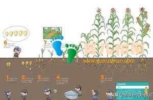 哈佛大学 哈佛大学