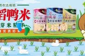 爱的营养大师稻鸭胚芽米，让婴幼儿米粉辅食回归原生自然