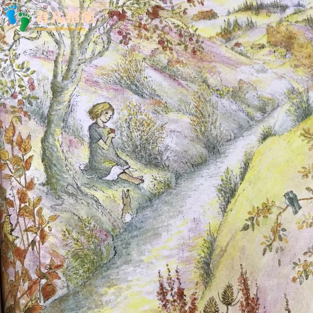 幸福的种子 幸福的种子