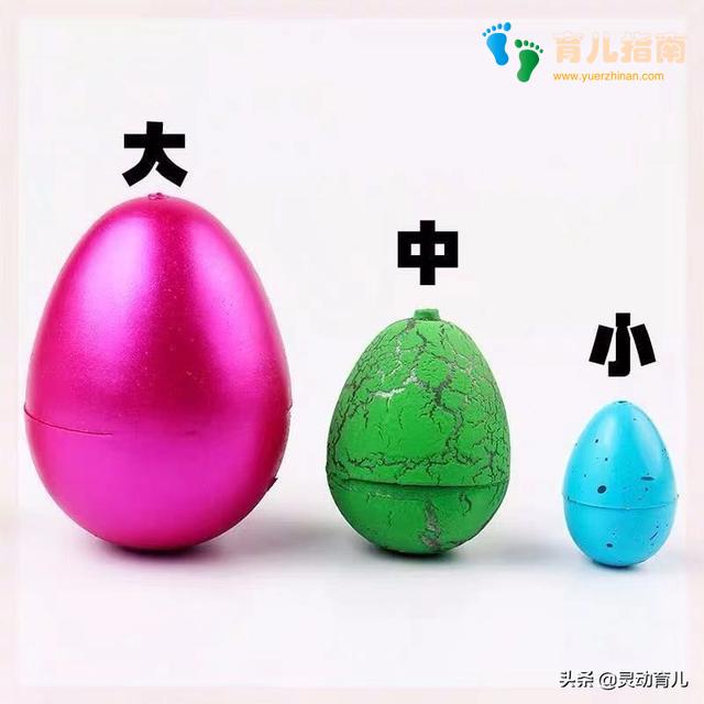 皮亚杰 皮亚杰