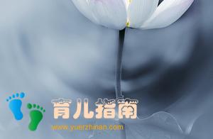 明明是错误的，孩子为什么还是要选择？