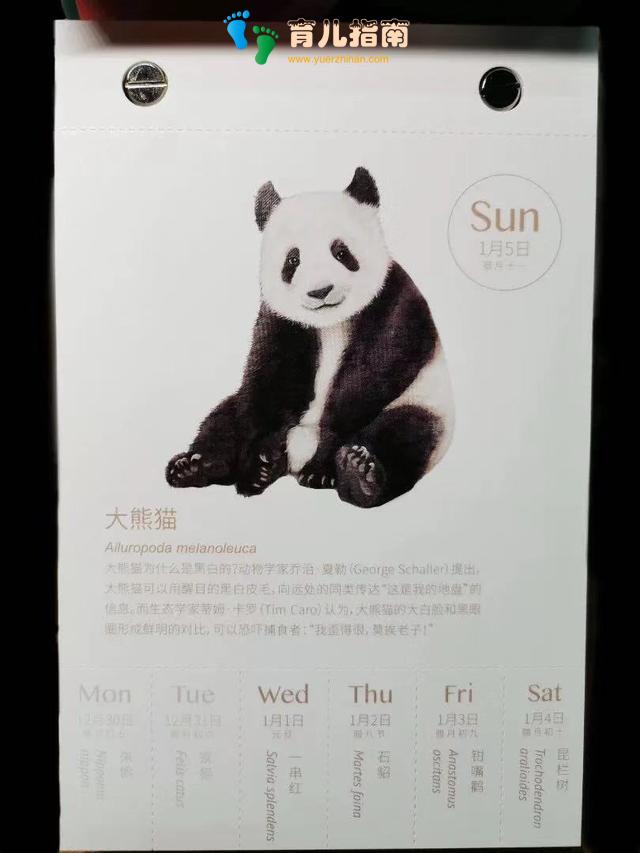 物种日历2020 物种日历2020