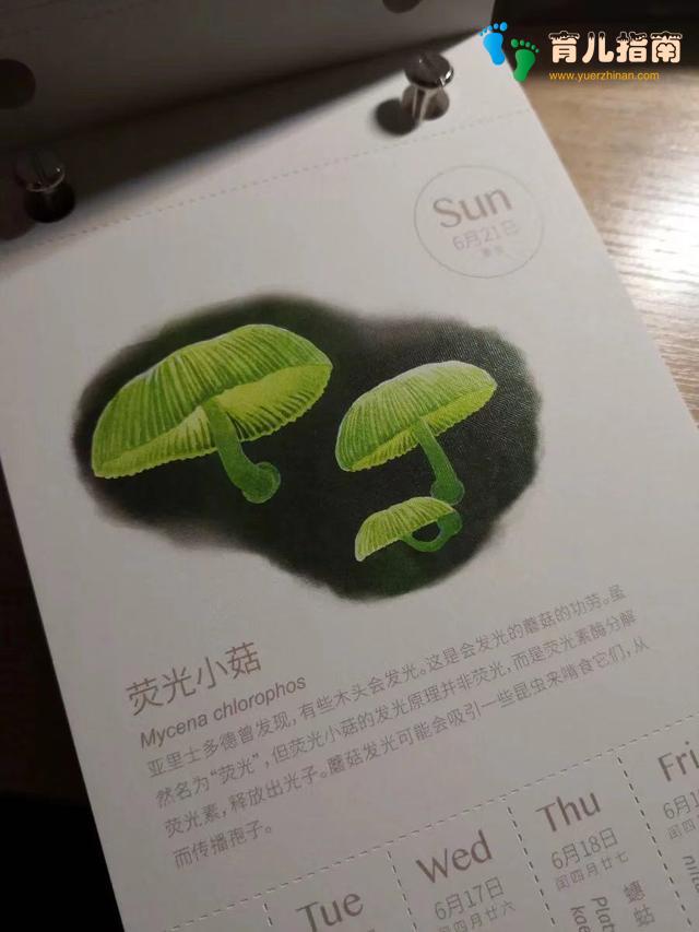 本日历书 本日历书