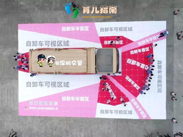 道路交通 道路交通