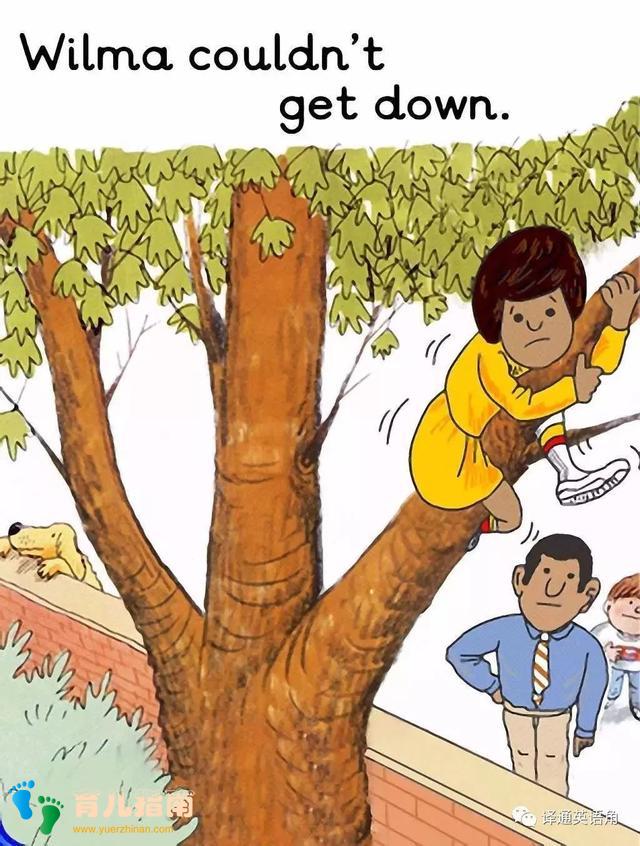 Wilma climbed Wilma climbed