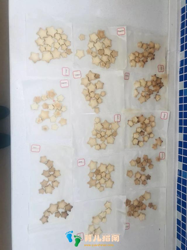 英迪国际幼儿园