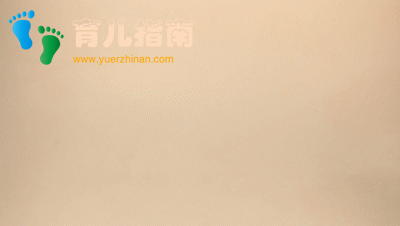 双酚A 双酚A