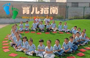 幼儿园的风和树 幼儿园的风和树