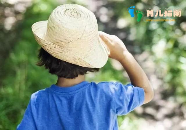 美国育儿百科 美国育儿百科