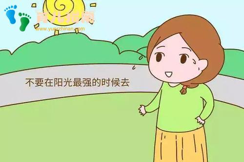 维生素D 维生素D