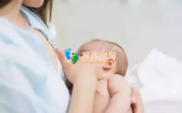 婴幼儿 婴幼儿