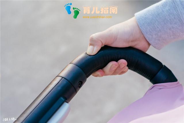 安全带 安全带