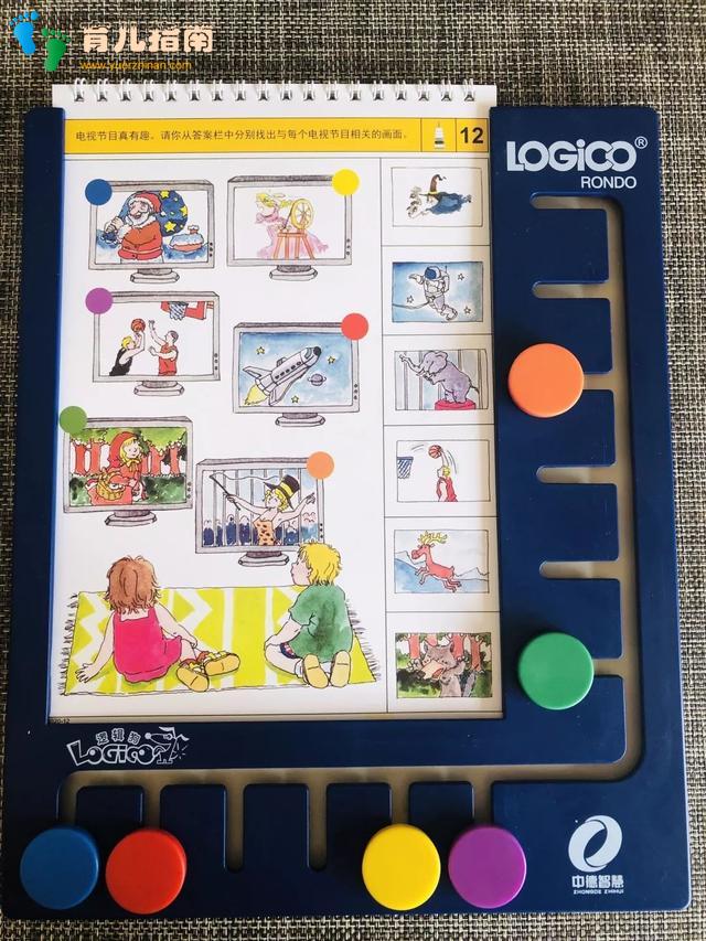 可爱的宠物 可爱的宠物