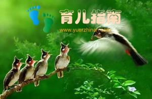超可爱的动物亲子照片！每一张都让人感动