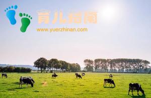 爱他美奶粉怎么样？白金版和普通版什么区别？有必要买白金版吗？