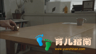 像乌鸦一样思考