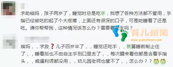 夏洛特公主 夏洛特公主