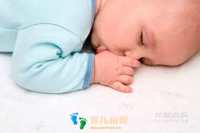 吮吸反射 吮吸反射